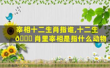 宰相十二生肖指谁,十二生 🕊 肖里宰相是指什么动物